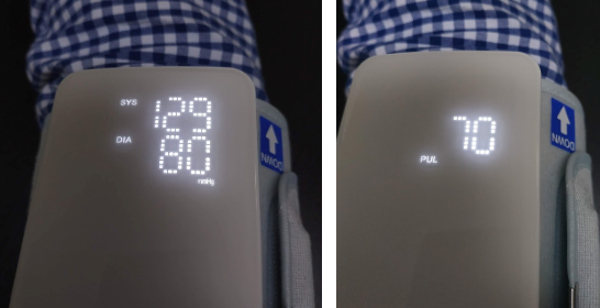 Display_result_puls.png